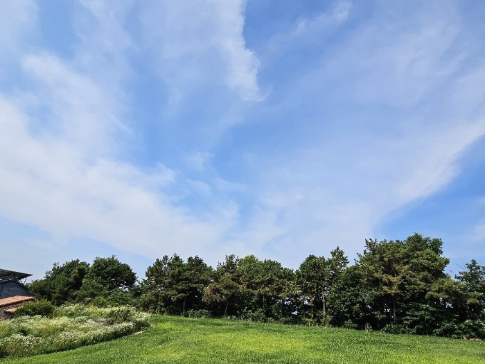 경기도 이천시 설성면 제요리 2 외 5필지 전 경매 사진 9