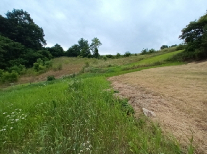 충청남도 금산군 금산읍 신대리 161 전 경매 사진 2