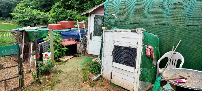 충청남도 태안군 남면 신온리 652-50 외 2필지 숙박시설 경매 사진 50