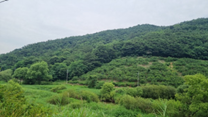 경상남도 창원시 의창구 북면 마산리 산189 임야 경매 사진 1