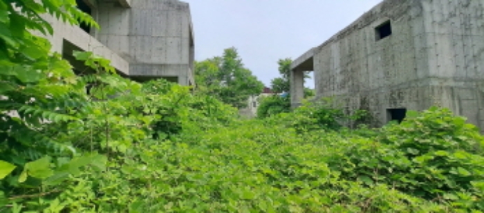 경기도 양주시 백석읍 기산리 205-9 외 37필지 전 경매 사진 12