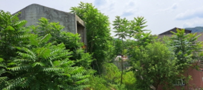 경기도 양주시 백석읍 기산리 205-9 외 37필지 전 경매 사진 17