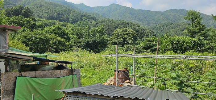 경기도 가평군 북면 백둔리 213 전 경매 사진 13