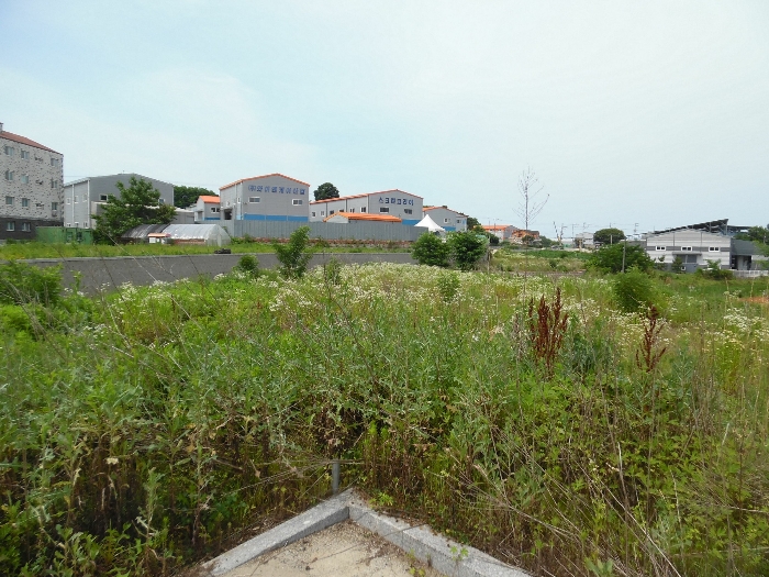 경기도 화성시 서신면 매화리 425-8 외 4필지 도로 경매 사진 9