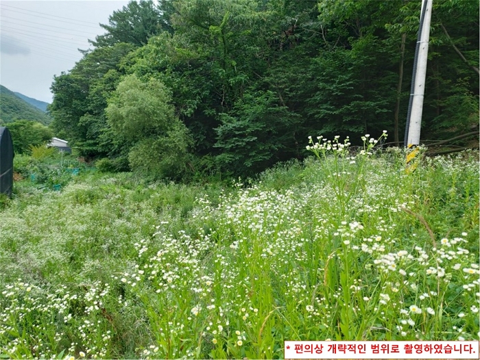 경기 광주시 남한산성면 엄미리 593 외 8필지 근린생활시설 경매 사진 19