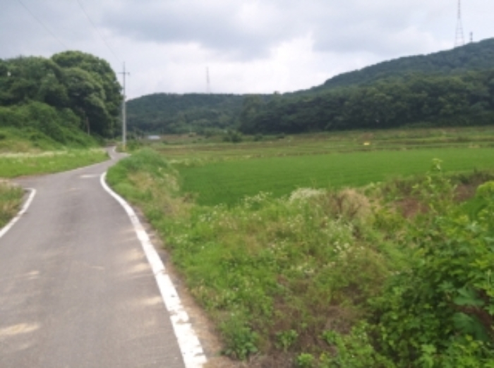 충청남도 당진시 송악읍 석포리 104 외 1필지 답 경매 사진 1