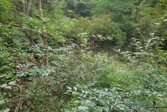 경상남도 밀양시 청도면 구기리 1259 답 경매 사진 18