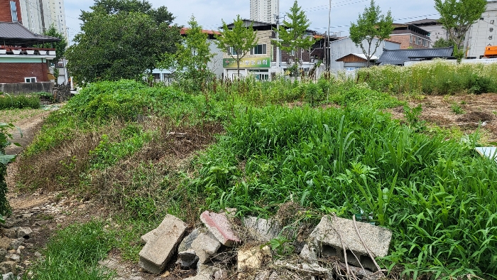 경상북도 문경시 윤직동 569-3 전답 경매 사진 7
