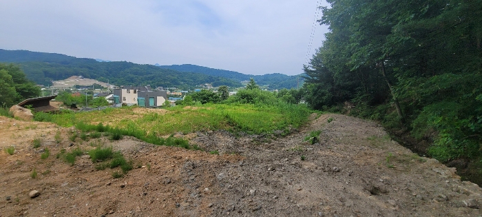 경기도 양평군 양서면 청계리 205-2 답 경매 사진 14