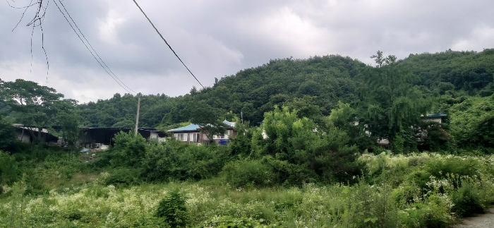 충청북도 충주시 앙성면 영죽리 130-1 외 1필지 창고시설 경매 사진 13