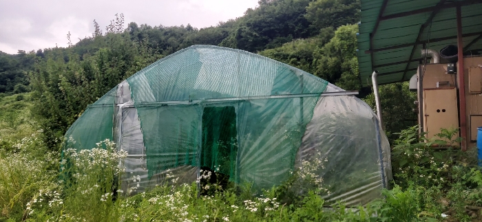 충청북도 충주시 앙성면 영죽리 130-1 외 1필지 창고시설 경매 사진 21