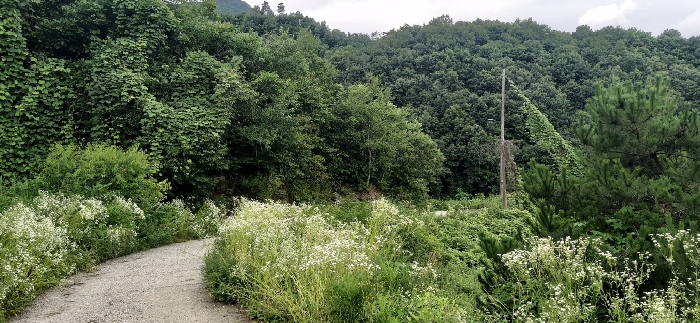 충청북도 충주시 앙성면 영죽리 130-1 외 1필지 창고시설 경매 사진 22