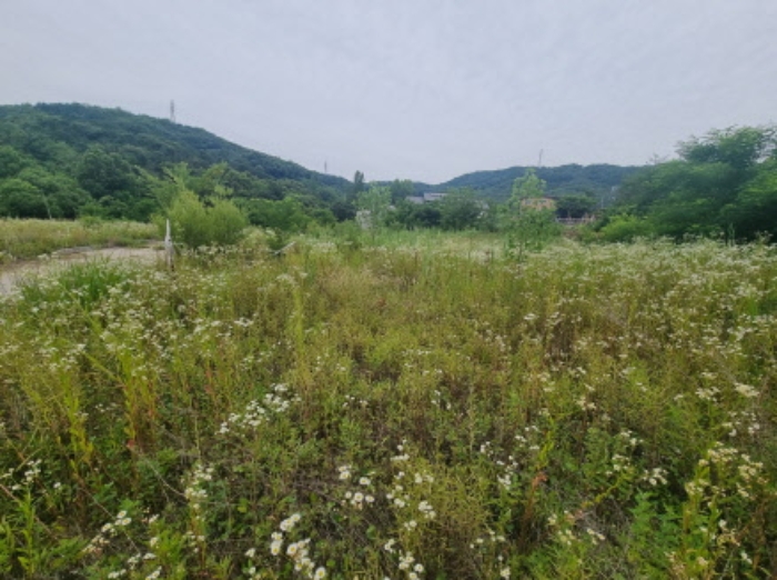 충청남도 천안시 동남구 목천읍 지산리 34-14 외 7필지 답 경매 사진 1