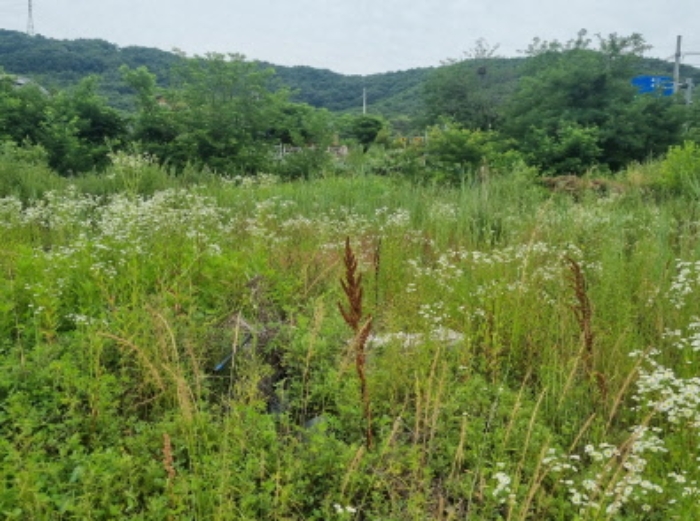 충청남도 천안시 동남구 목천읍 지산리 34-14 외 7필지 답 경매 사진 2