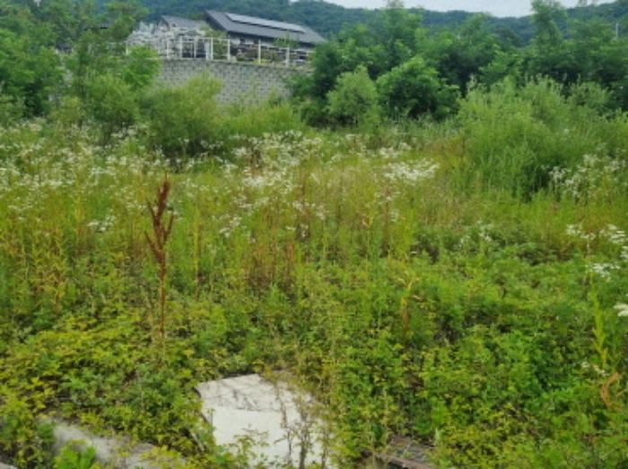 충청남도 천안시 동남구 목천읍 지산리 34-14 외 7필지 답 경매 사진 3