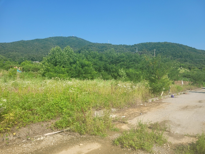 충청남도 천안시 동남구 목천읍 지산리 34-14 외 7필지 답 경매 사진 10