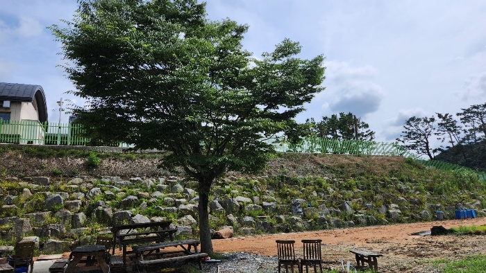 광주광역시 북구 청풍동 499 외 3필지 근린생활시설 경매 사진 27