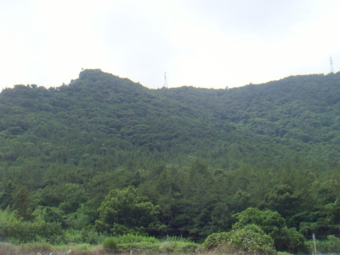 전라남도 해남군 화원면 영호리 산146-1 임야 경매 사진 12