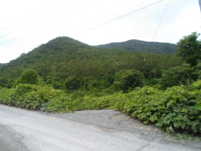 전라남도 해남군 화원면 영호리 산146-1 임야 경매 사진 14