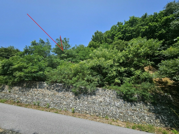 경기도 가평군 청평면 대성리 321-160 임야 경매 사진 11