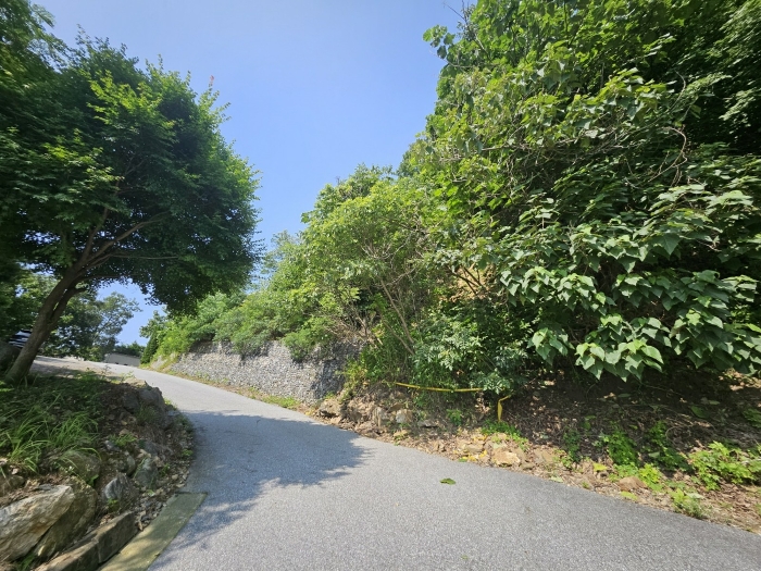 경기도 가평군 청평면 대성리 321-160 임야 경매 사진 12