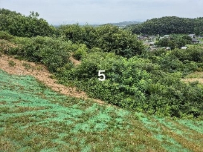 경기도 여주시 세종대왕면 신지리 108-11 외 9필지 임야 경매 사진 8