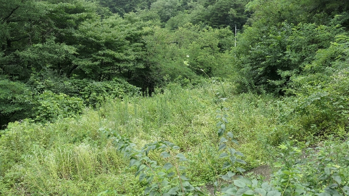 경상남도 함양군 안의면 초동리 699 외 9필지 전 경매 사진 15