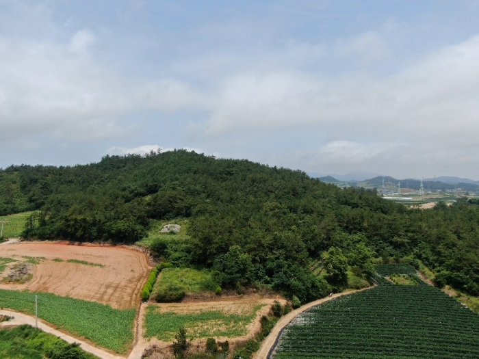 전라남도 해남군 문내면 학동리 산16-4 임야 경매 사진 16