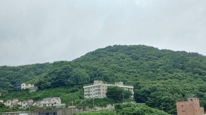 경상남도 거제시 연초면 오비리 산137 임야 경매 사진 5