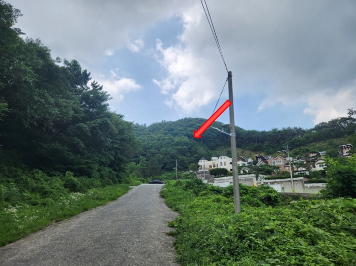 경상남도 거제시 연초면 오비리 산137 임야 경매 사진 7