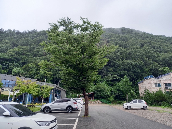 전북특별자치도 완주군 상관면 죽림리 581-2 외 2필지 근린생활시설 경매 사진 48