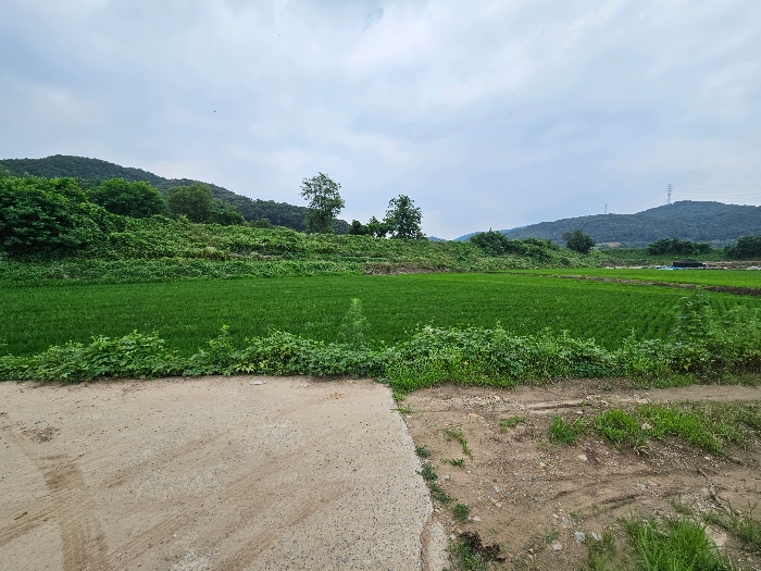 충청북도 충주시 앙성면 강천리 70-2 답 경매 사진 9