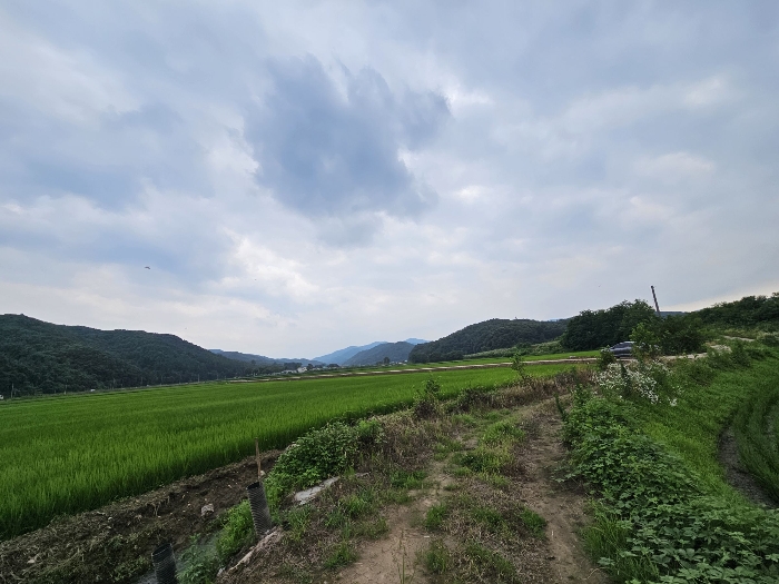 충청북도 충주시 앙성면 강천리 70-2 답 경매 사진 12