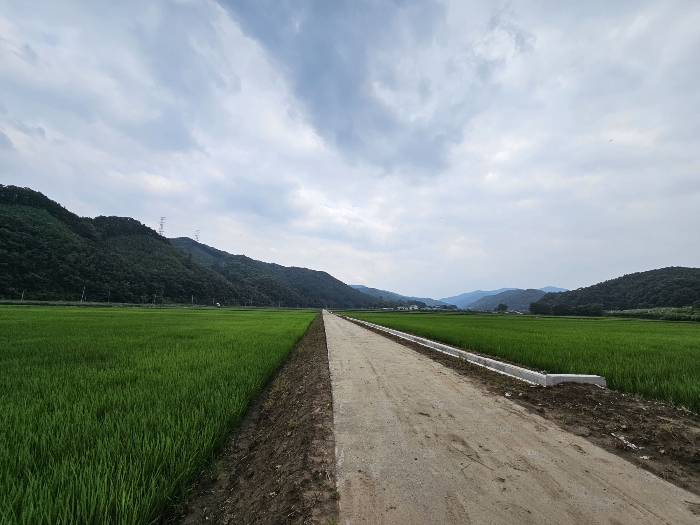 충청북도 충주시 앙성면 강천리 70-2 답 경매 사진 13