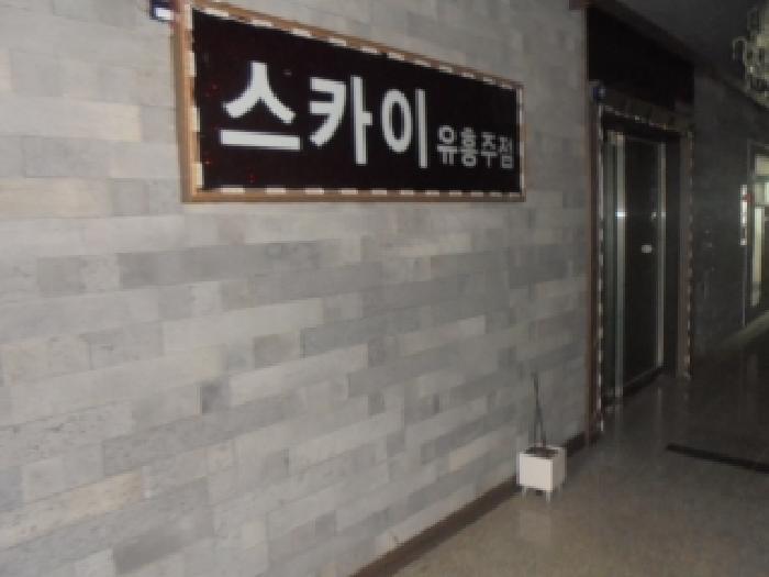 충북 음성군 맹동면 두성리 1474, 3층303호 (스카이타워) 근린상가 경매 사진 10