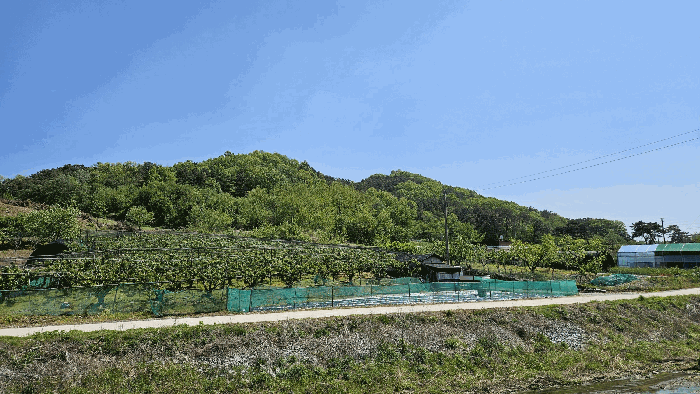 세종특별자치시 연동면 문주리 74-1 외 4필지 임야 경매 사진 42