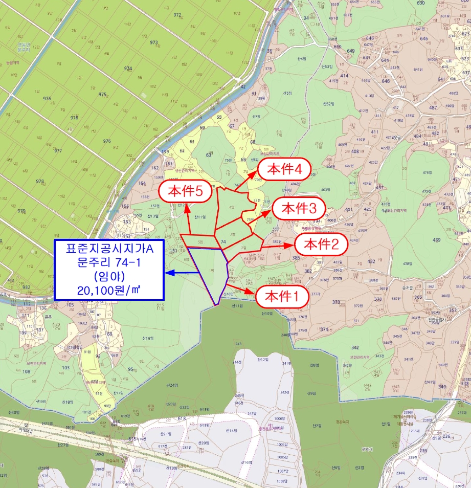 세종특별자치시 연동면 문주리 74-1 외 4필지 임야 경매 사진 44