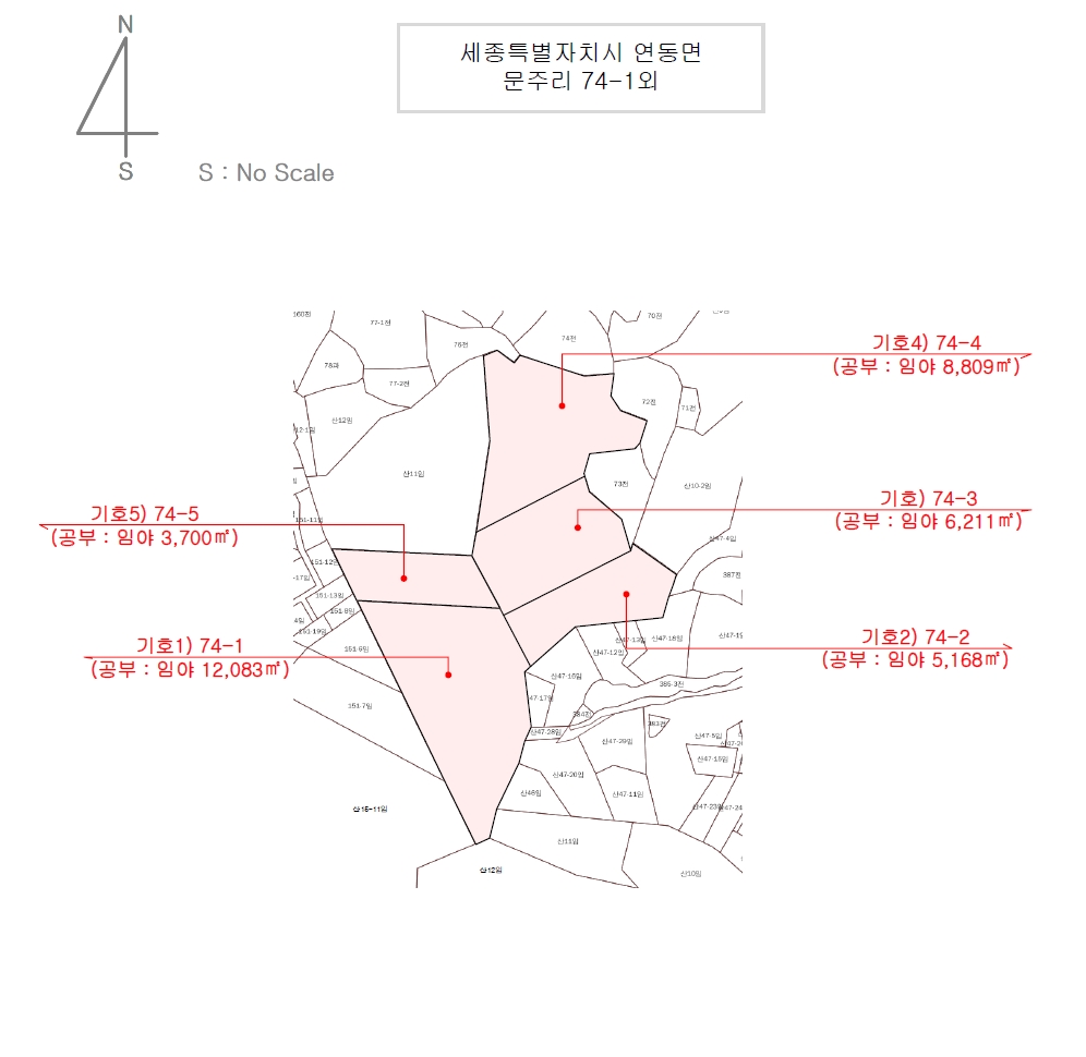 세종특별자치시 연동면 문주리 74-1 외 4필지 임야 경매 사진 45