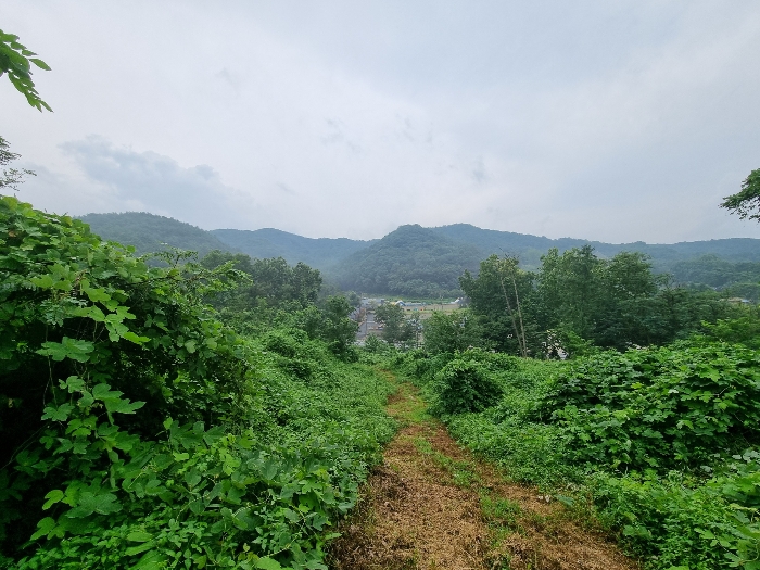 충청북도 청주시 상당구 명암동 7-1 외 3필지 전 경매 사진 8