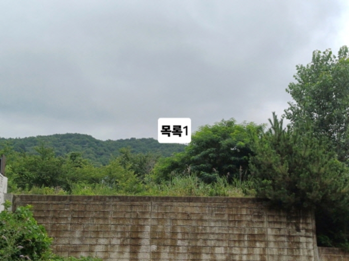 부산광역시 강서구 미음동 1527-2 대지 경매 사진 13