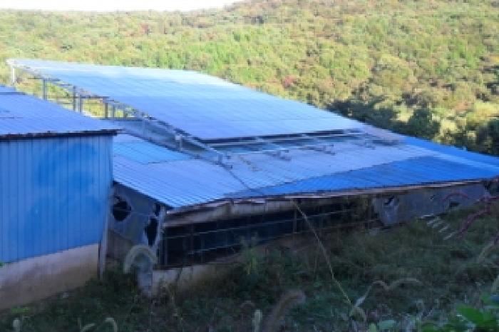 전북특별자치도 정읍시 산내면 종성리 483 외 8필지 동물및식물관련시설 경매 사진 15