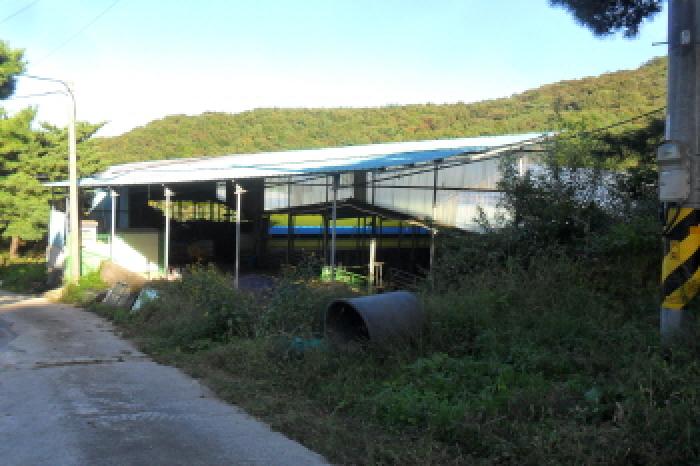 전북특별자치도 정읍시 산내면 종성리 483 외 8필지 동물및식물관련시설 경매 사진 20