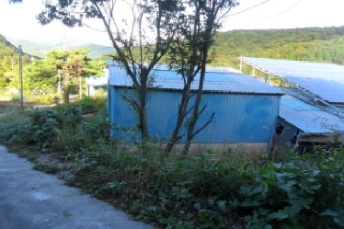 전북특별자치도 정읍시 산내면 종성리 483 외 8필지 동물및식물관련시설 경매 사진 3