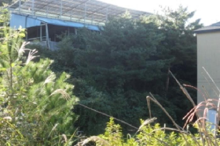 전북특별자치도 정읍시 산내면 종성리 483 외 8필지 동물및식물관련시설 경매 사진 21