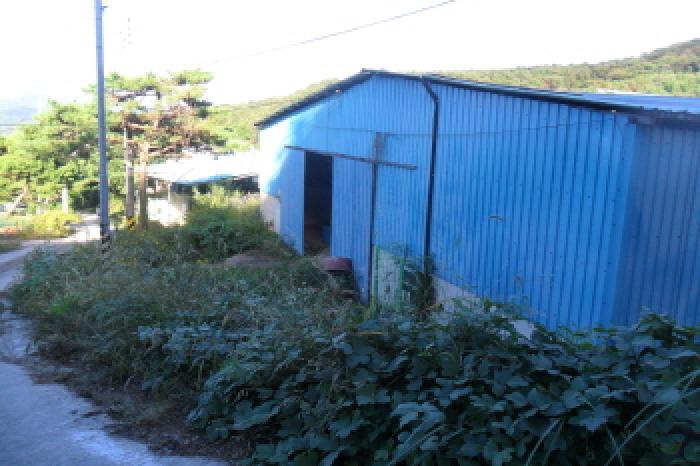 전북특별자치도 정읍시 산내면 종성리 483 외 8필지 동물및식물관련시설 경매 사진 4