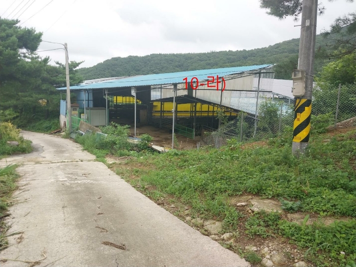 전북특별자치도 정읍시 산내면 종성리 483 외 8필지 동물및식물관련시설 경매 사진 38