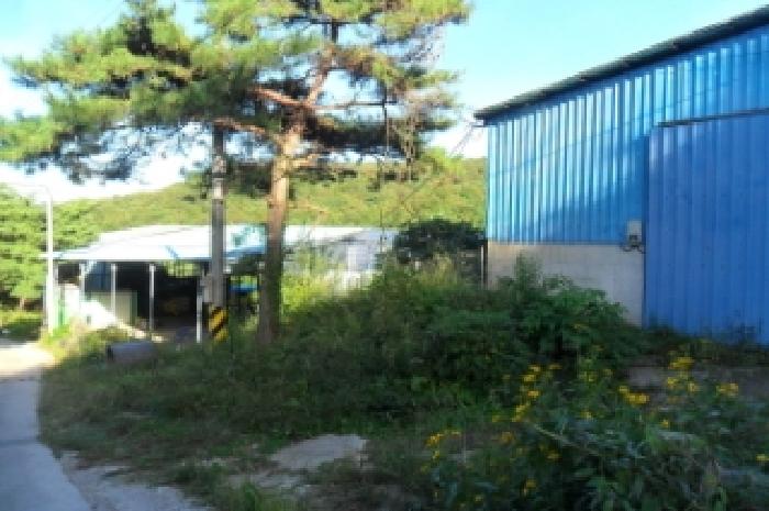 전북특별자치도 정읍시 산내면 종성리 483 외 8필지 동물및식물관련시설 경매 사진 5