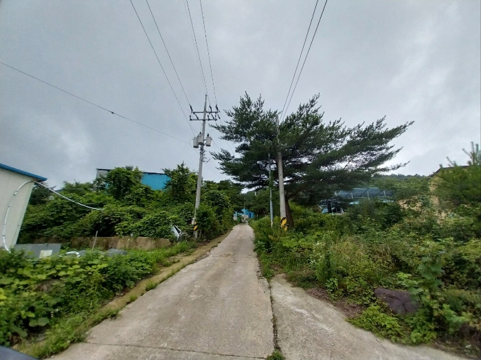 전북특별자치도 정읍시 산내면 종성리 483 외 8필지 동물및식물관련시설 경매 사진 42