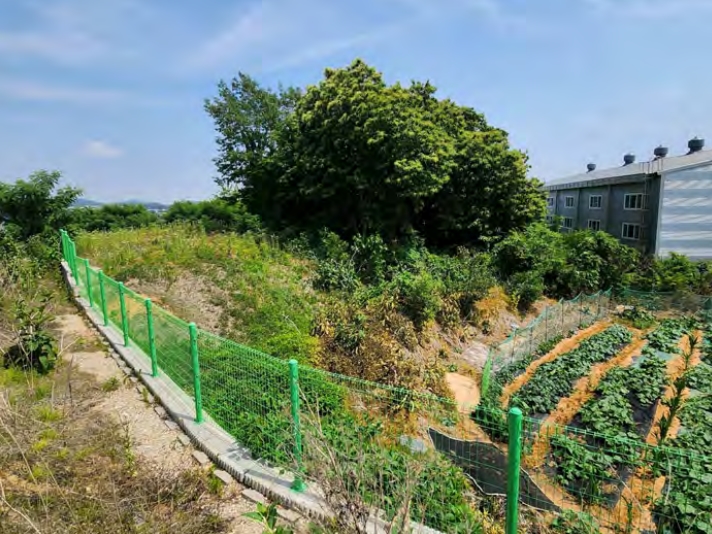 경기도 화성시 장안면 사곡리 289-6 외 19필지 전 경매 사진 11