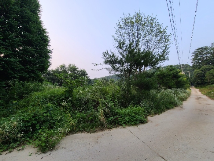 강원특별자치도 원주시 지정면 월송리 561 외 28필지 동물및식물관련시설 경매 사진 150